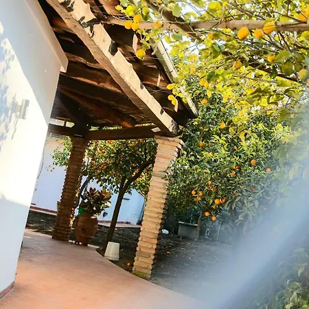 In The Garden Couette-café Ottaviano