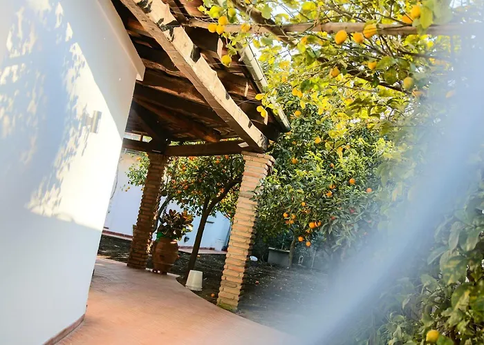 In The Garden Couette-café Ottaviano