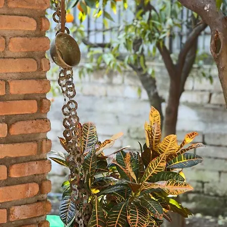 In The Garden Bed and breakfast Ottaviano