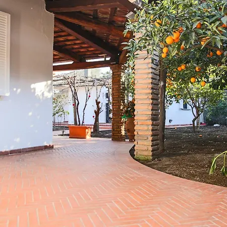Bed and breakfast In The Garden 3*